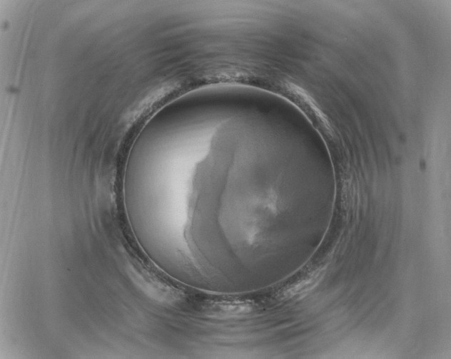 X0000066520443200603241340