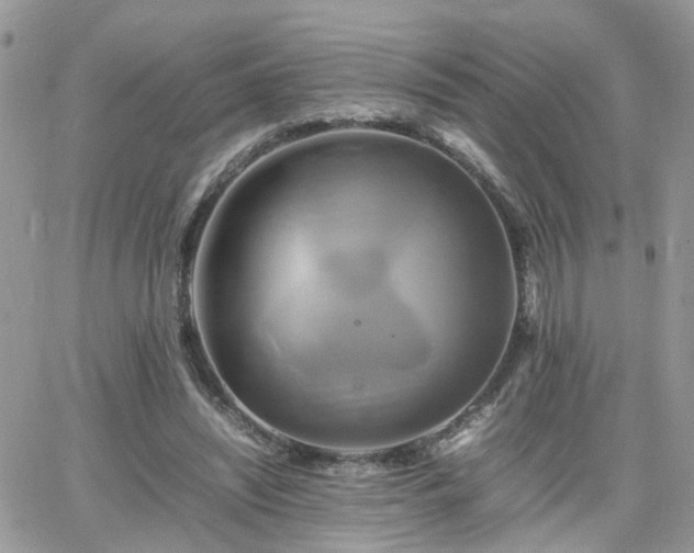 X0000066520444200603241340