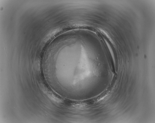 X0000066520447200603241340