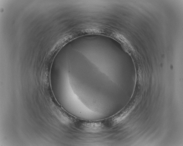 X0000066520449200603241341