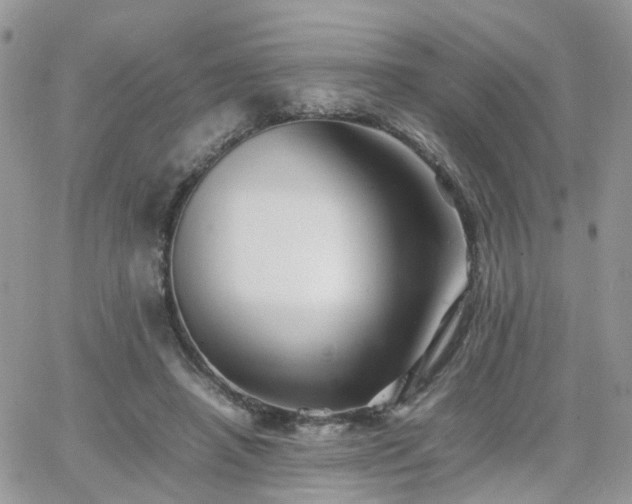 X0000066520450200603241341