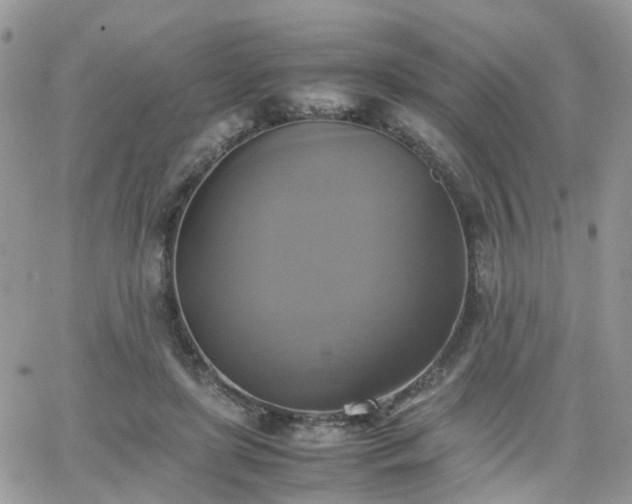 X0000066520451200603241341