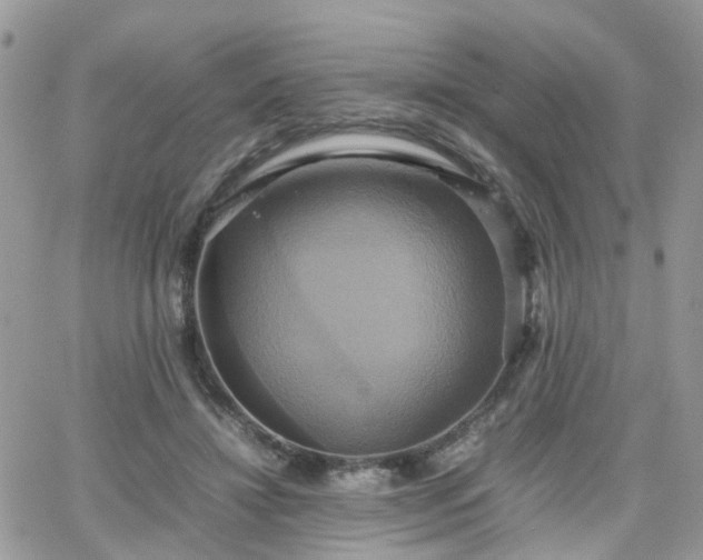 X0000066520452200603241341