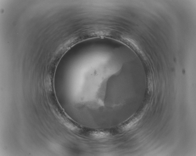 X0000066520453200603241341