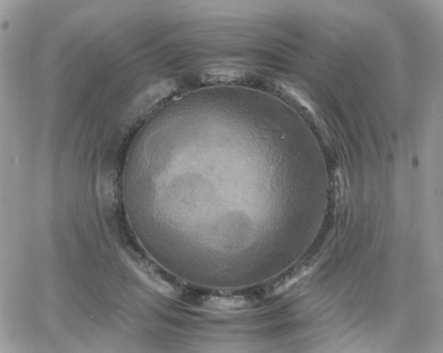 X0000066520455200603241341