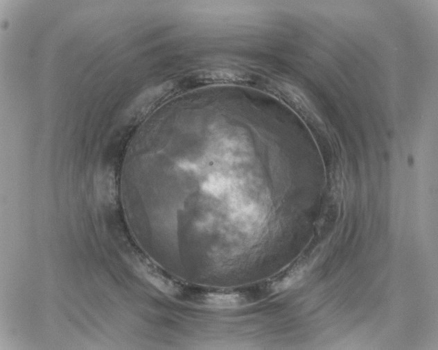 X0000066520457200603241341