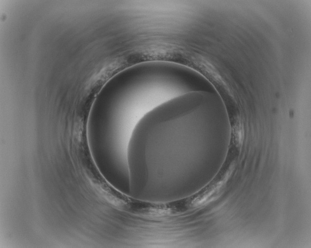 X0000066520458200603241341