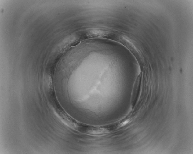 X0000066520459200603241341