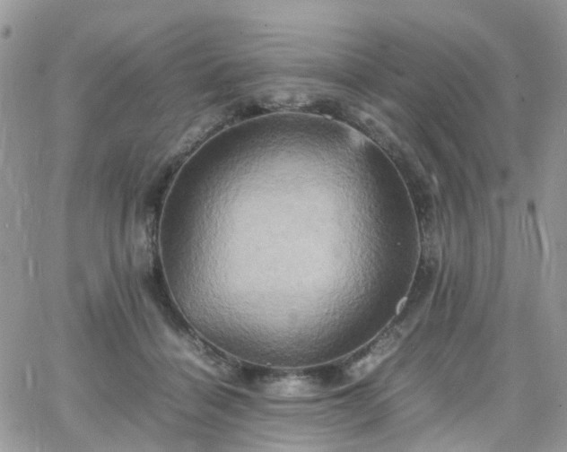 X0000066520460200603241341