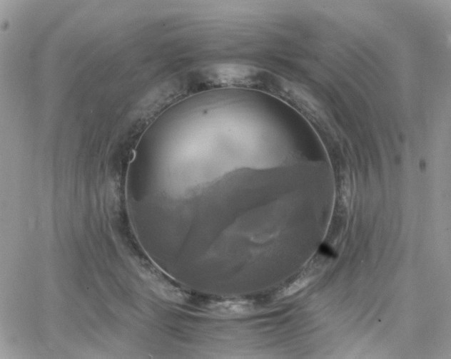 X0000066520461200603241341