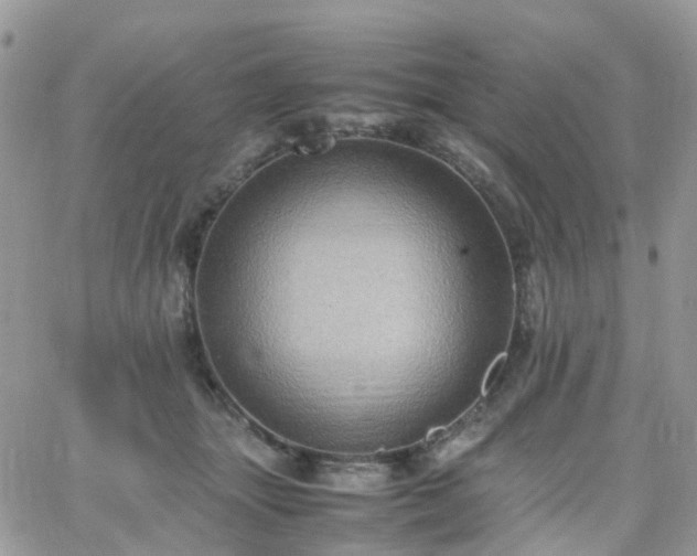 X0000066520463200603241341