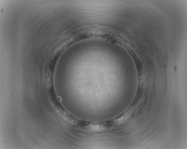 X0000066520464200603241341