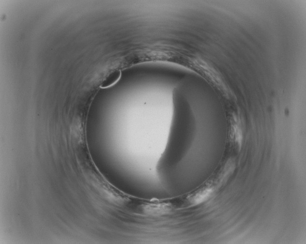 X0000066520465200603241341