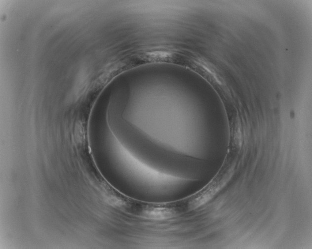 X0000066520467200603241341