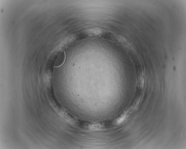 X0000066520468200603241341