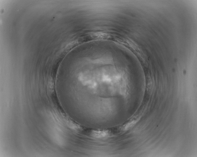 X0000066520469200603241341