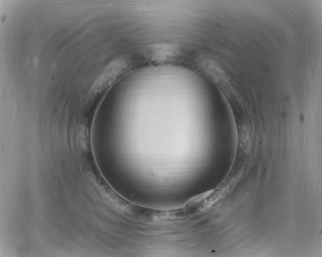 X0000066520470200603241341