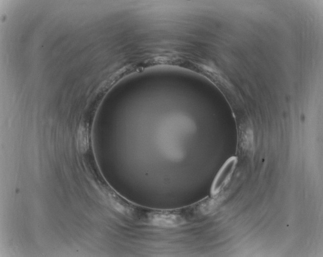 X0000066520471200603241341