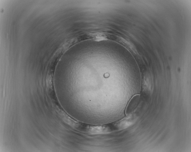 X0000066520473200603241341