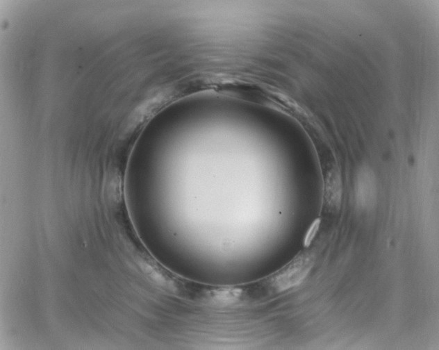 X0000066520474200603241341