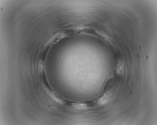 X0000066520476200603241341