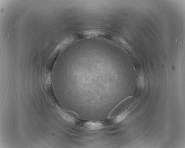 X0000066520477200603241341