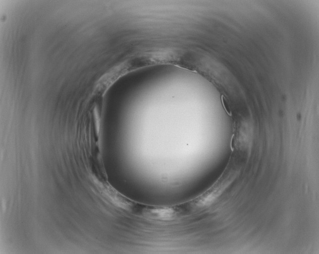 X0000066520478200603241341