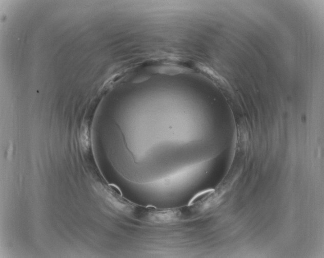 X0000066520479200603241341