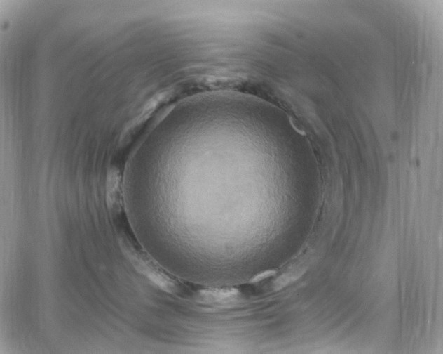 X0000066520480200603241341