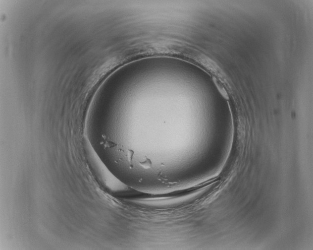 X0000066520481200603241340