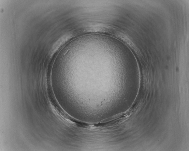 X0000066520482200603241340