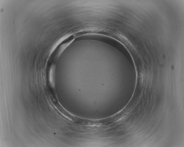 X0000066520484200603241340