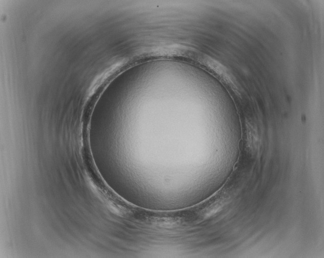 X0000066520486200603241340