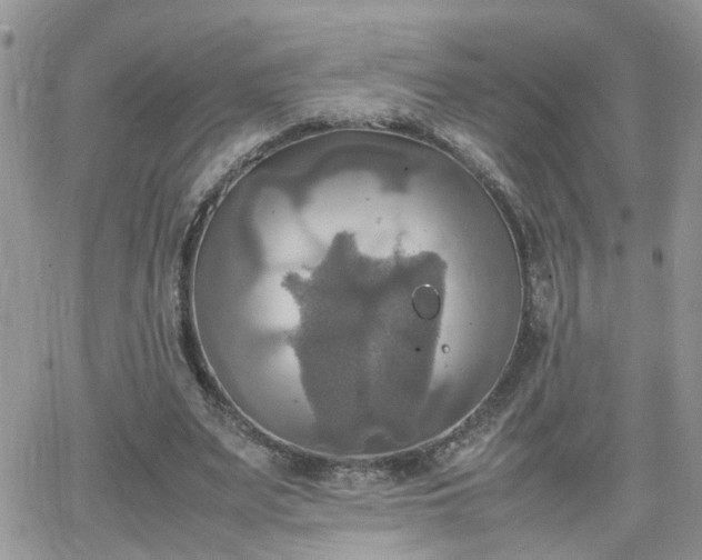 X0000066520487200603241340