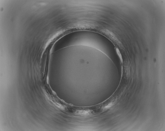 X0000066520488200603241340