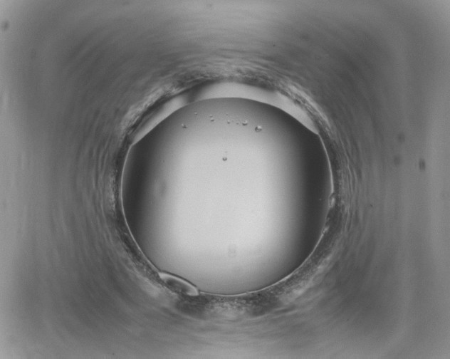 X0000066520489200603241340