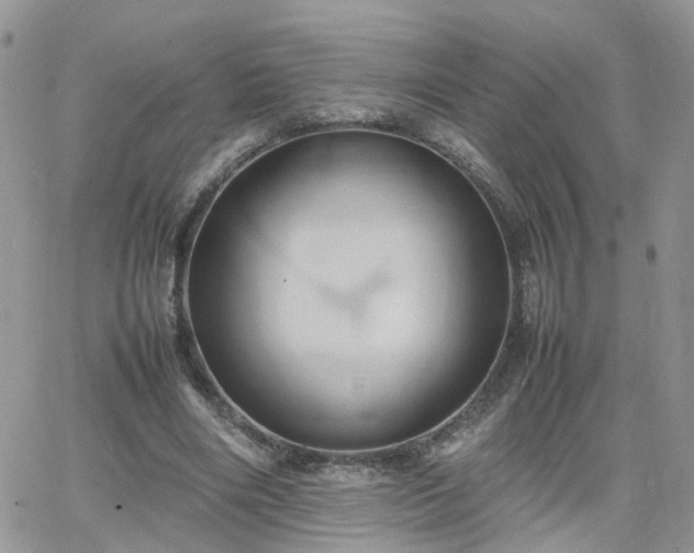 X0000066520490200603241340