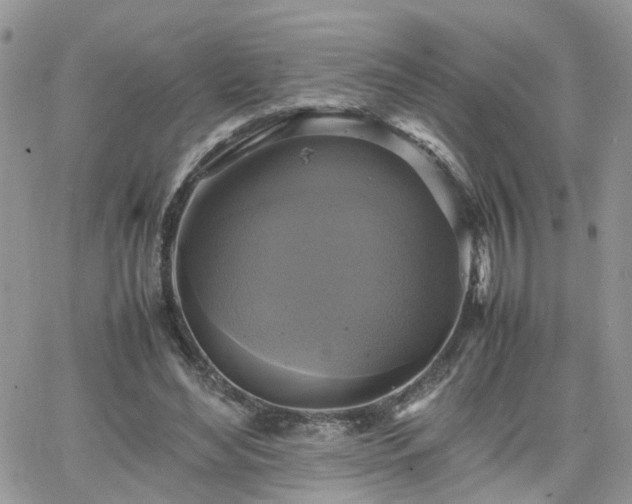 X0000066520492200603241340