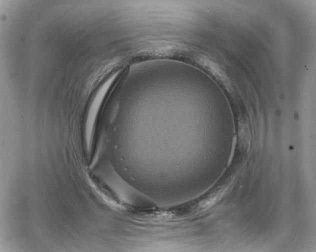 X0000066520493200603241340