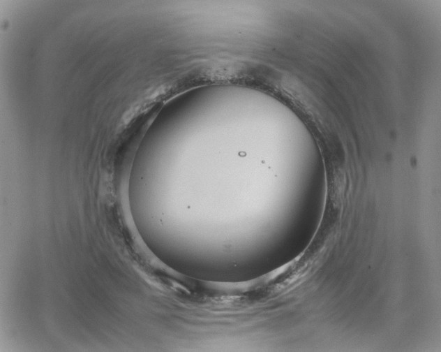 X0000066520497200603241340