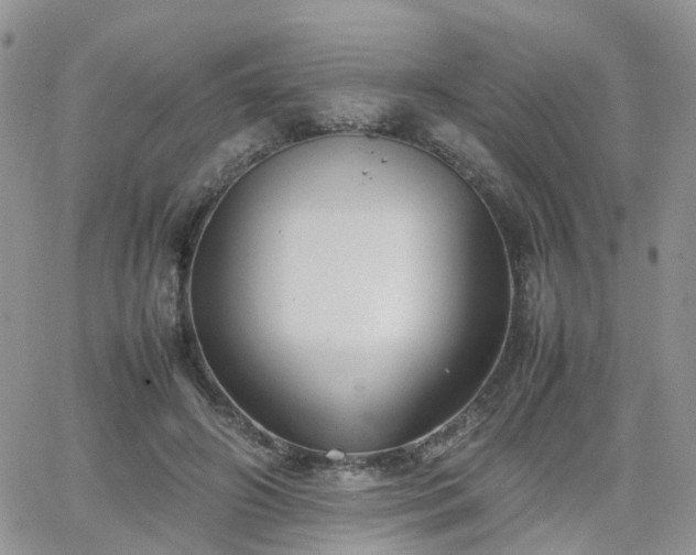 X0000066520498200603241340