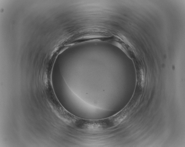 X0000066520500200603241340