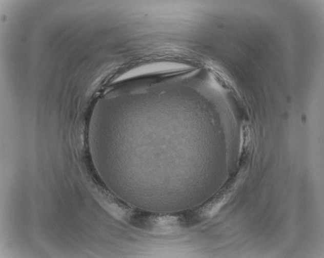 X0000066520501200603241340