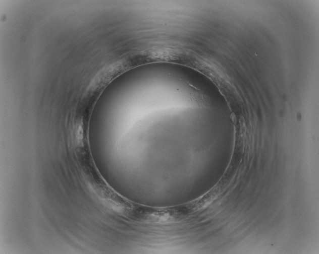 X0000066520502200603241340