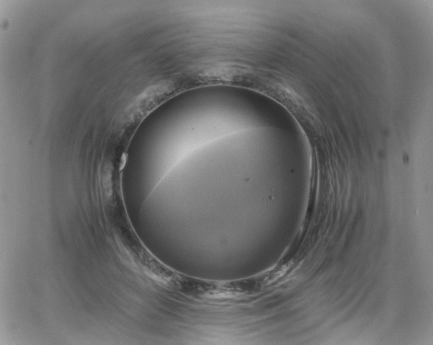 X0000066520504200603241340