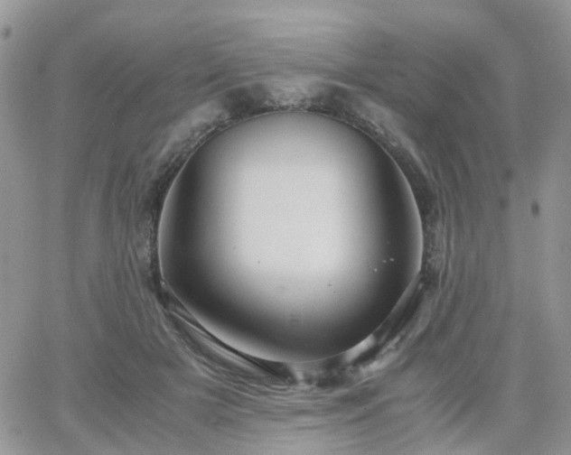 X0000066520505200603241340