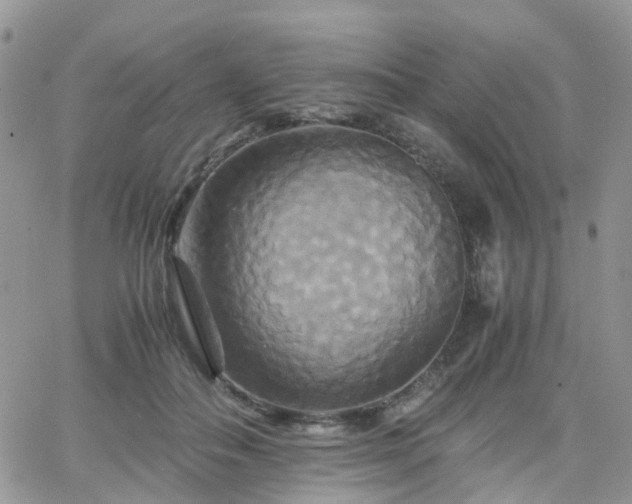 X0000066520506200603241340