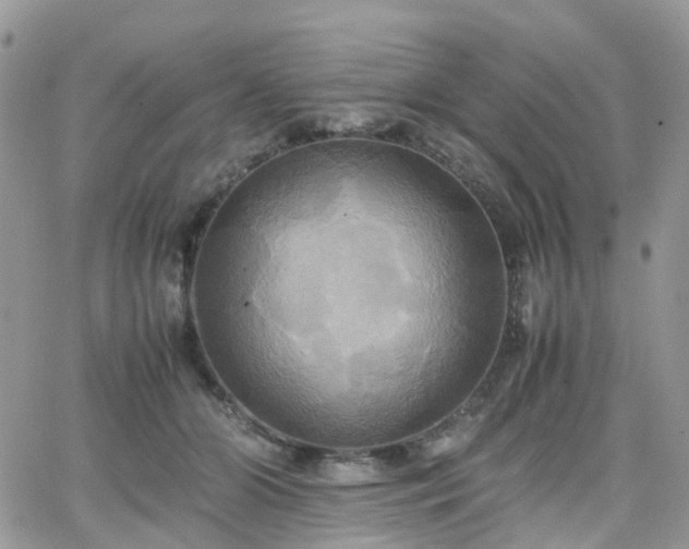 X0000066520510200603241340