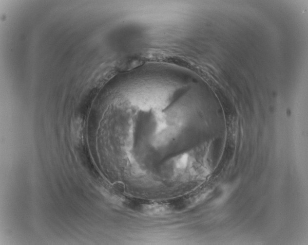 X0000066520511200603241340