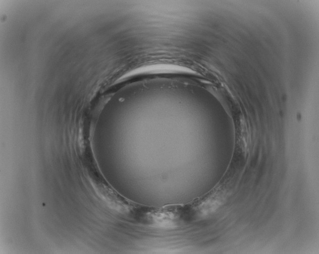 X0000066520512200603241340